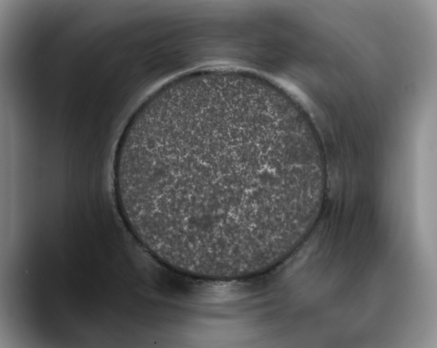 X0000089831279200707191819