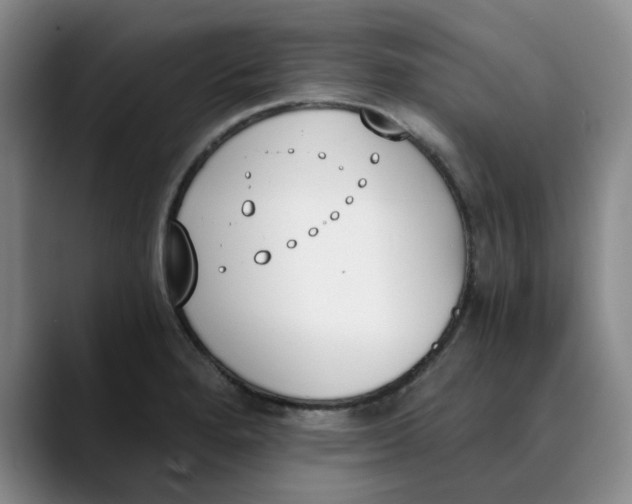 X0000089831280200707191819