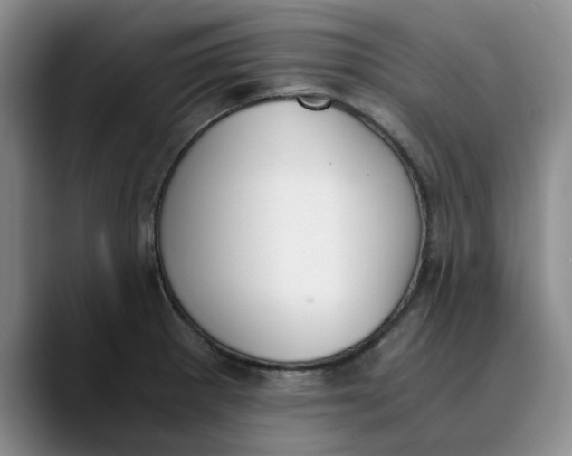 X0000089831281200707191819