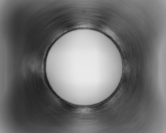 X0000089831282200707191819