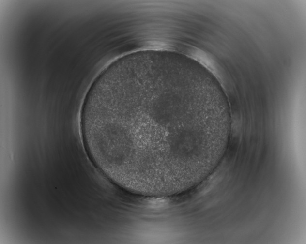 X0000089831283200707191819