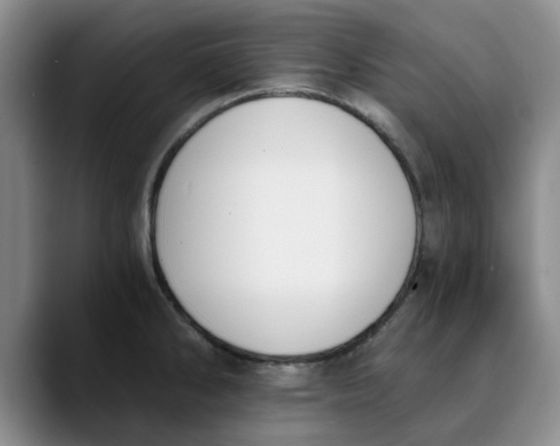 X0000089831286200707191819