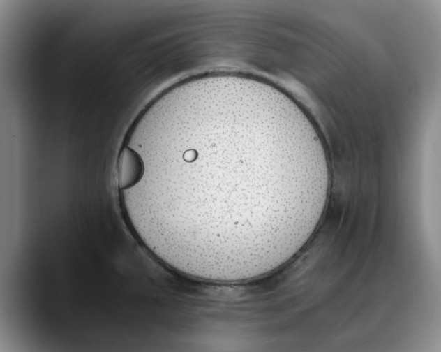 X0000089831287200707191819