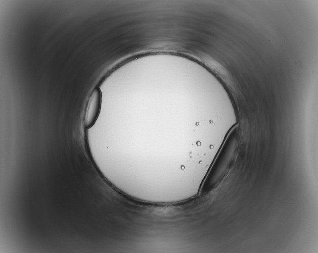 X0000089831288200707191819