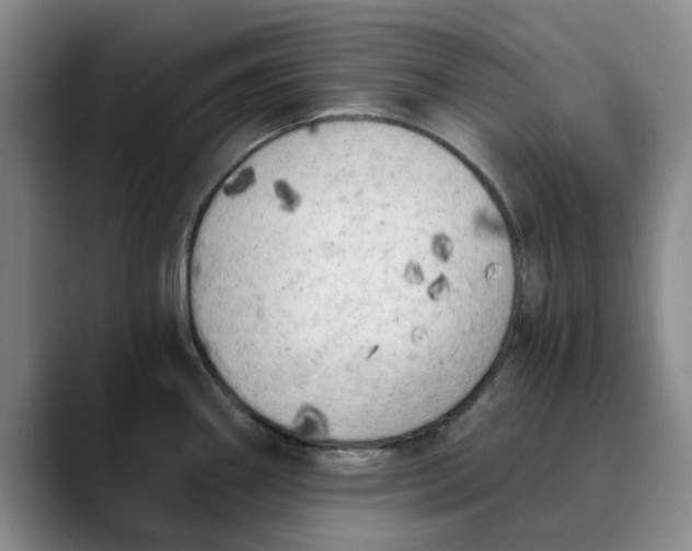 X0000089831290200707191819