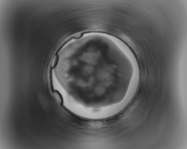 X0000089831291200707191819