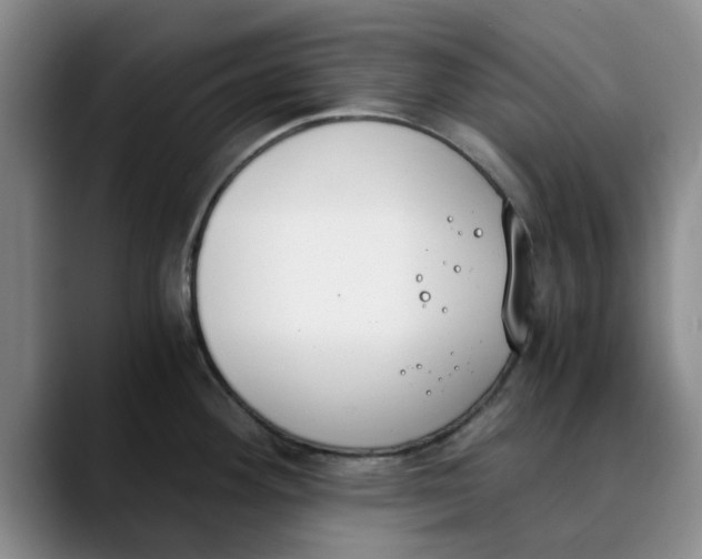 X0000089831292200707191819