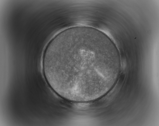 X0000089831294200707191819