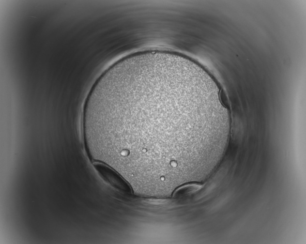 X0000089831295200707191819