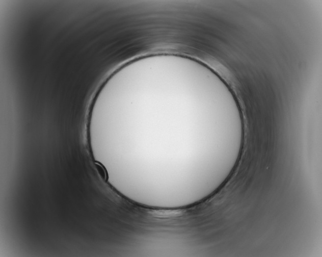 X0000089831296200707191819