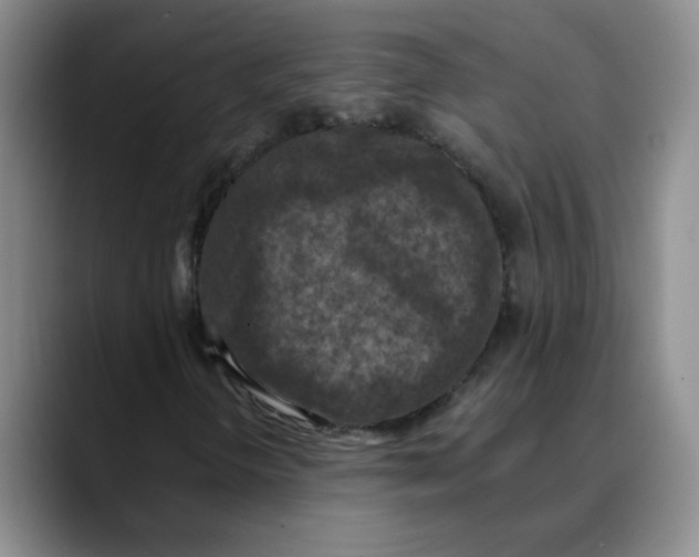 X0000089831298200707191818