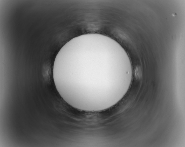 X0000089831299200707191818