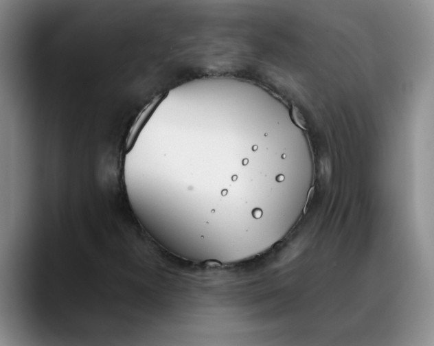 X0000089831300200707191818