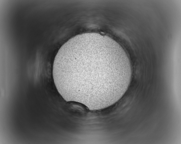 X0000089831301200707191819