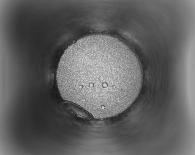 X0000089831302200707191819