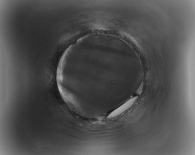 X0000089831303200707191819