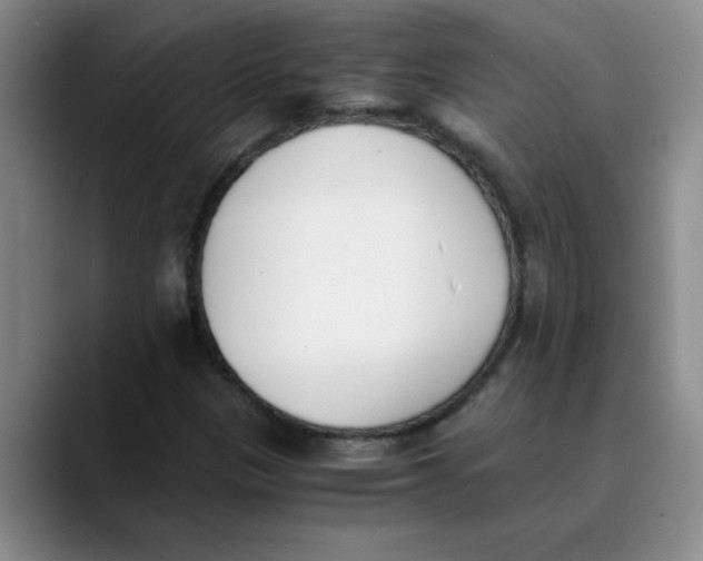 X0000089831305200707191819