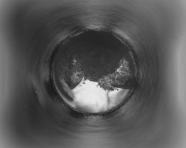 X0000089831306200707191819