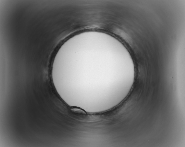 X0000089831308200707191819