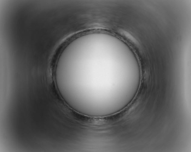 X0000089831310200707191819