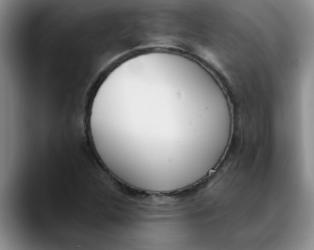 X0000089831312200707191819