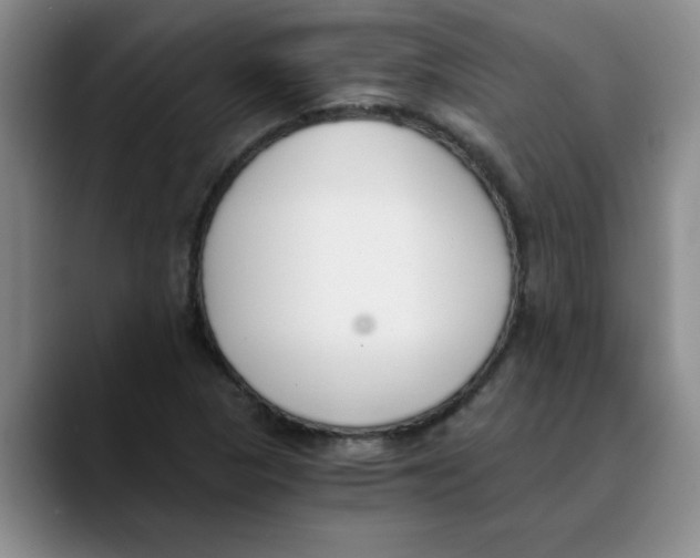 X0000089831313200707191819