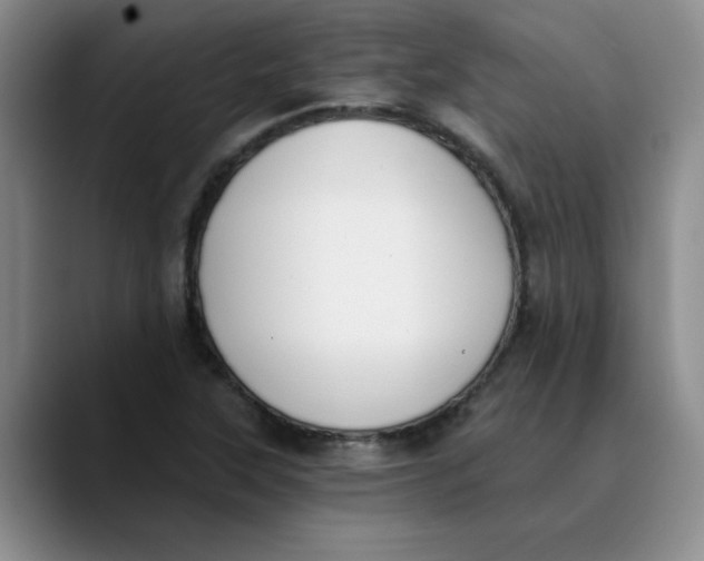 X0000089831315200707191819