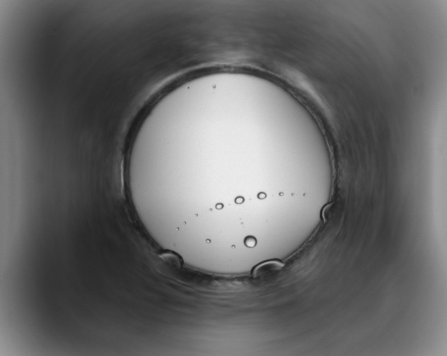 X0000089831320200707191819