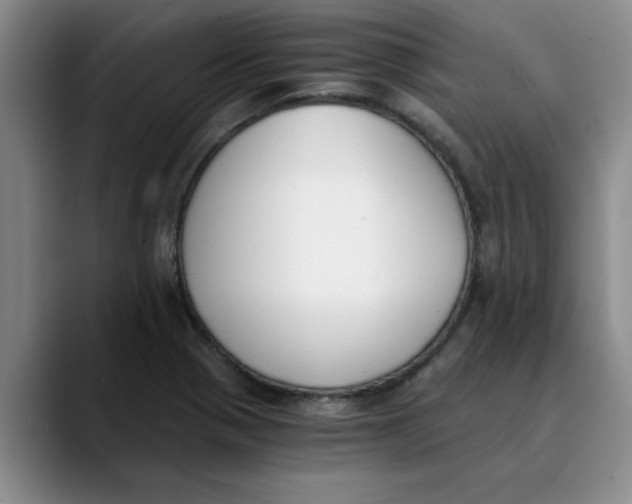 X0000089831321200707191819