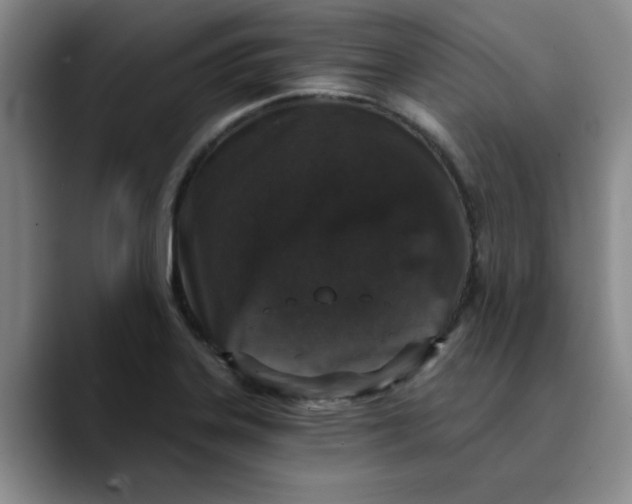 X0000089831323200707191819