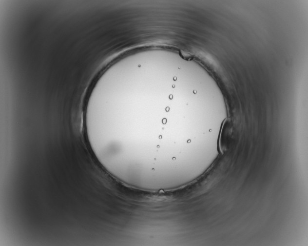 X0000089831324200707191819