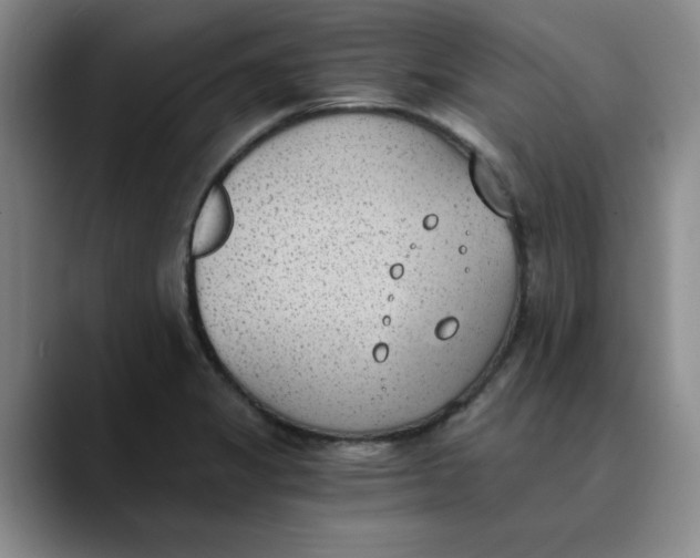 X0000089831325200707191819