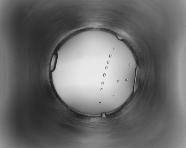 X0000089831326200707191819