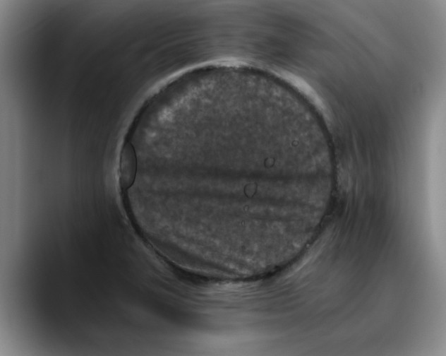 X0000089831327200707191819