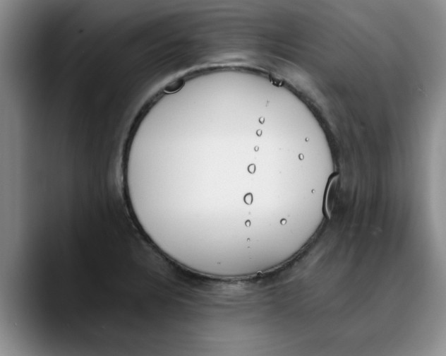 X0000089831328200707191819