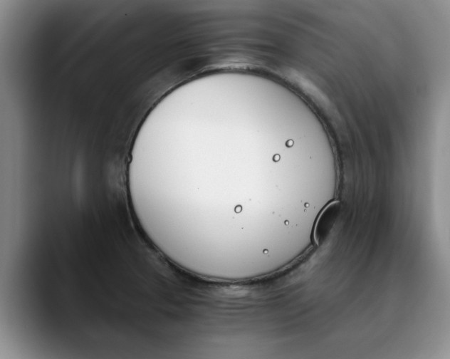 X0000089831329200707191819