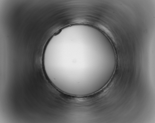 X0000089831330200707191819