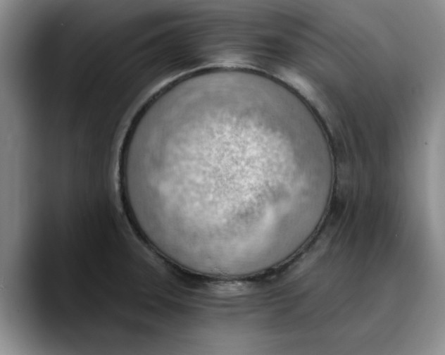 X0000089831331200707191819