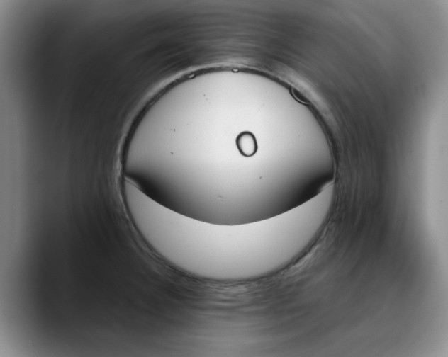 X0000089831332200707191819