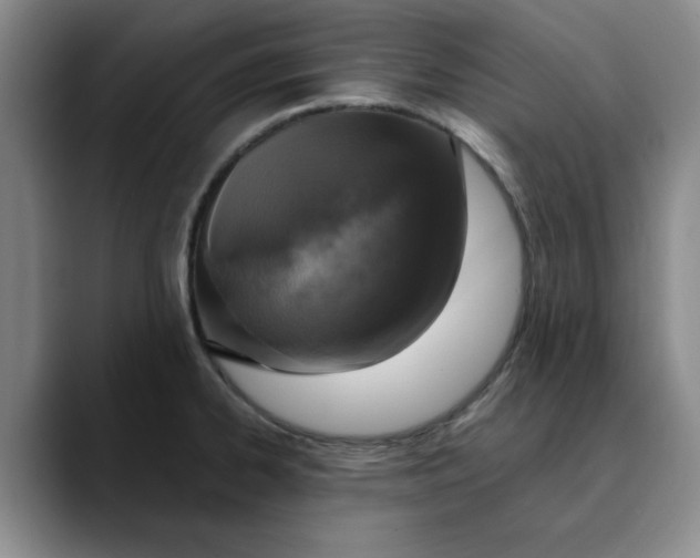 X0000089831334200707191819