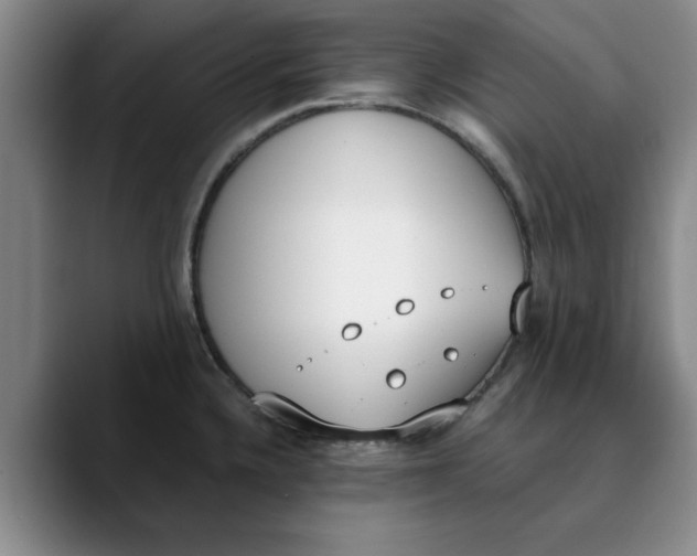 X0000089831336200707191819