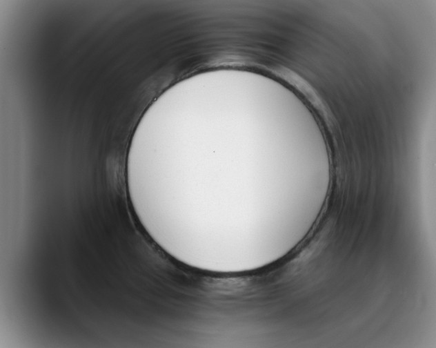 X0000089831337200707191819