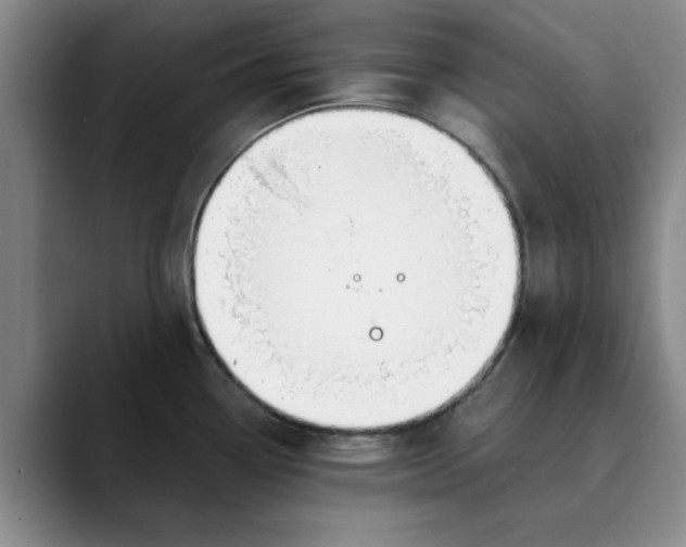 X0000089831338200707191819