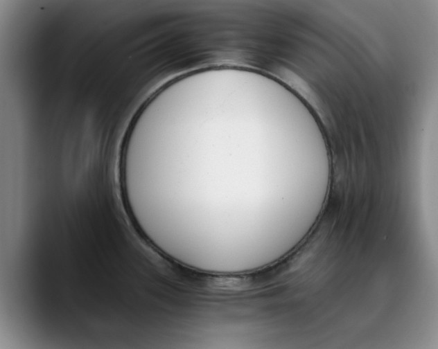 X0000089831339200707191819