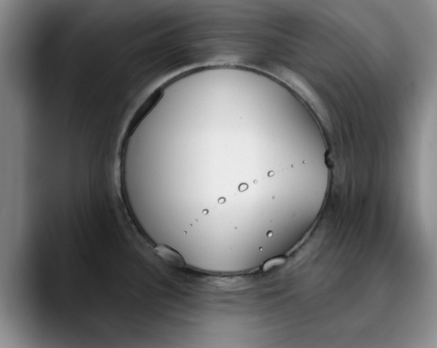 X0000089831340200707191819