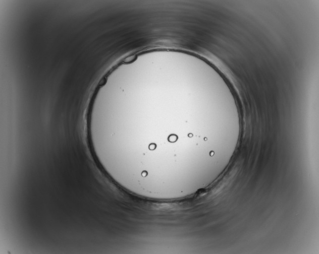 X0000089831341200707191819