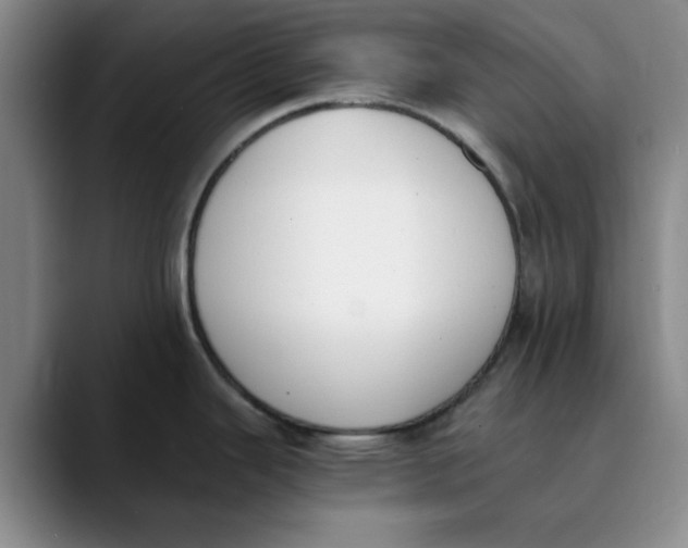 X0000089831343200707191819