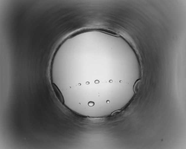 X0000089831344200707191819