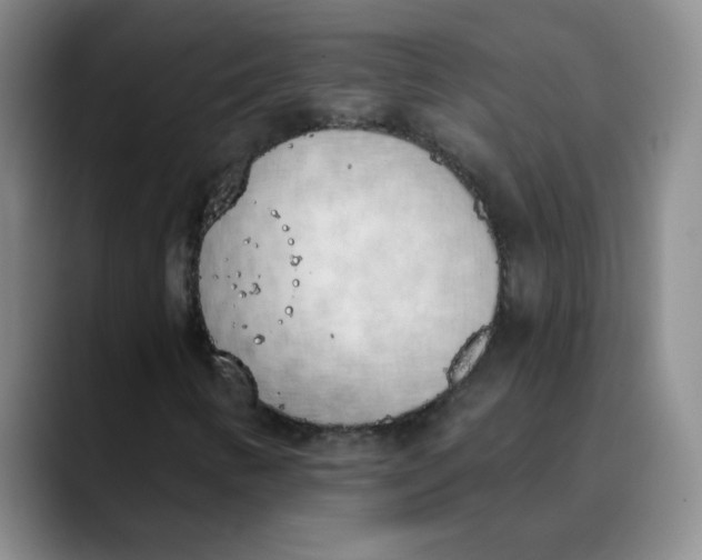 X0000089831346200707191818