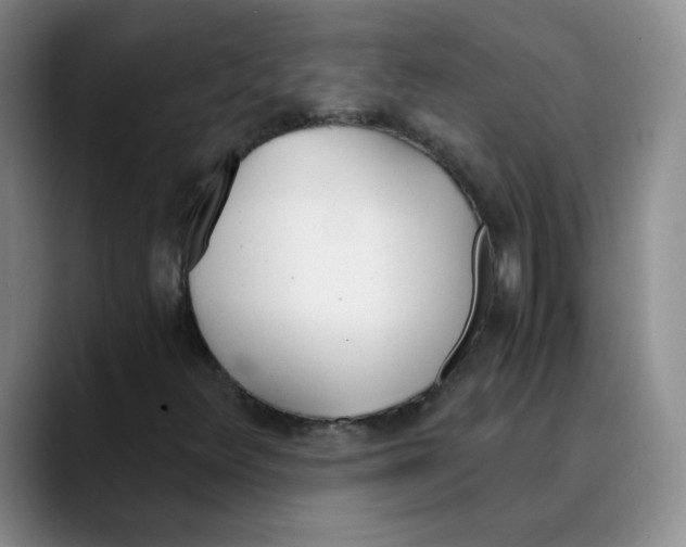 X0000089831348200707191818